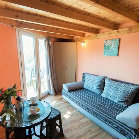 Argo * Василики